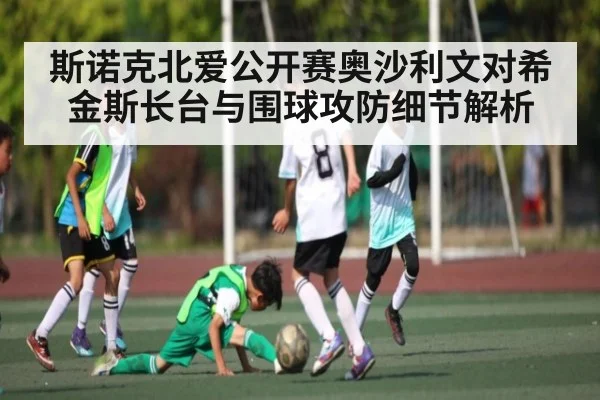 斯诺克北爱公开赛奥沙利文对希金斯长台与围球攻防细节解析